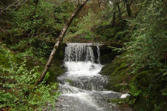 PLUIES EN CEVENNES