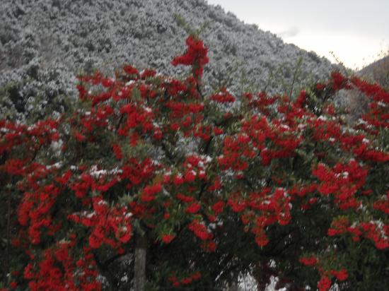 Paysages d'hiver