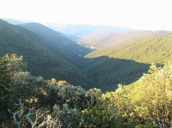 étés en Cévennes