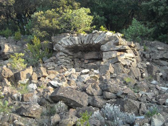 Cévennes - été 2009
