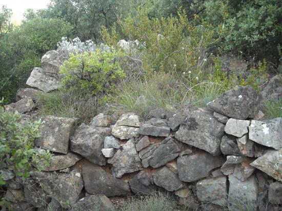 Cévennes- été 2009
