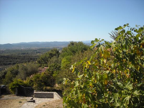 Cévennes - été 2009