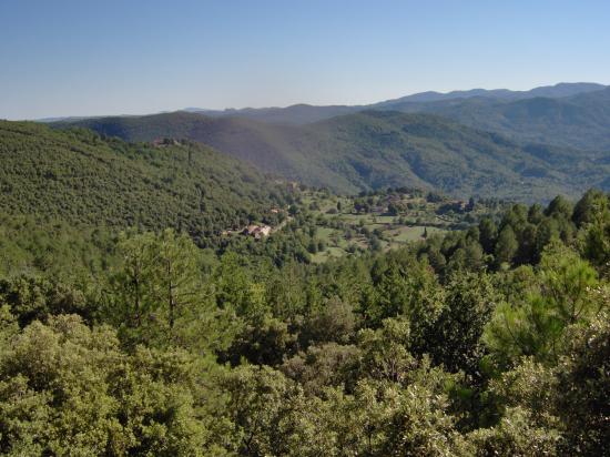 Cévennes estivales