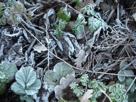 Paysages d'hiver
