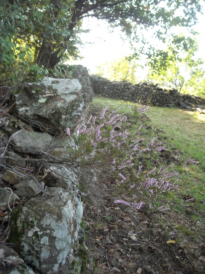 automne 2009