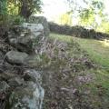 automne 2009