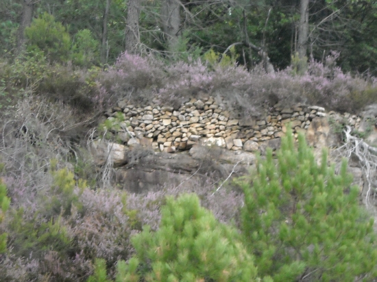 automne 2009