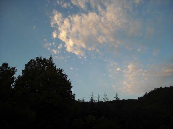 automne 2009