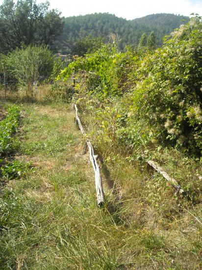 Le jardin du papé