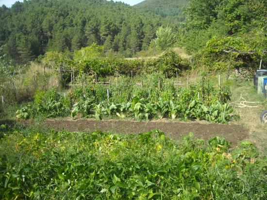 Le jardin du papé