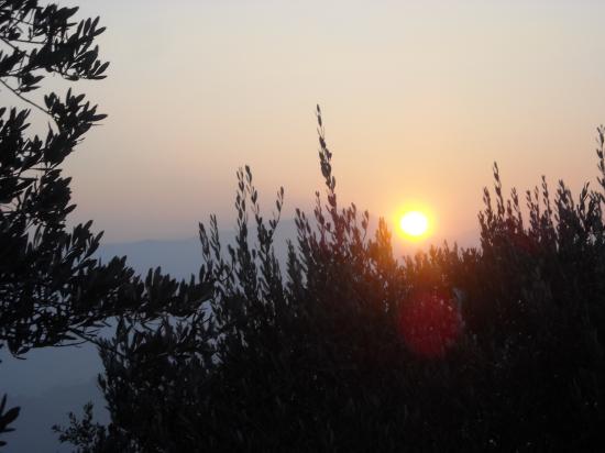 fin d'hiver...