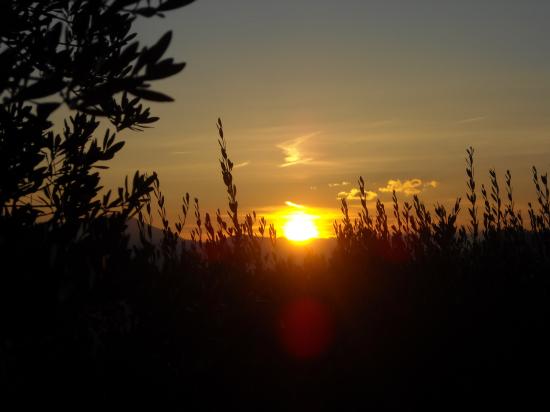 fin d'hiver...