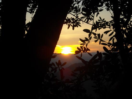 fin d'hiver...