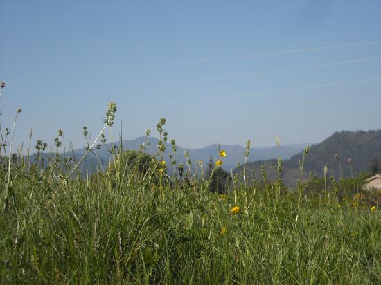 printemps 2011