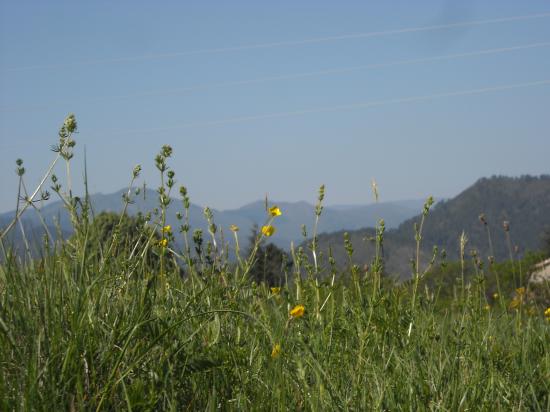 printemps 2011