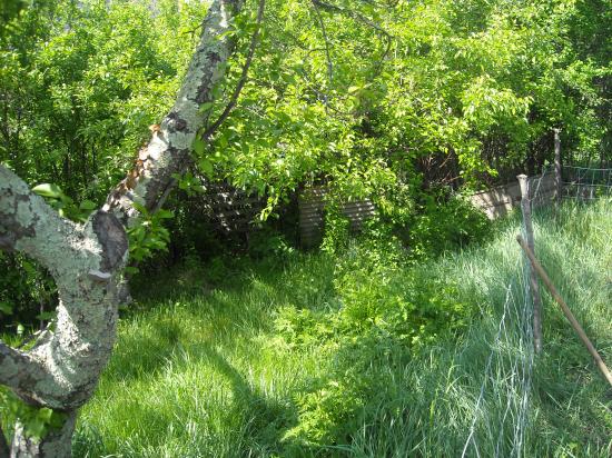 printemps 2011